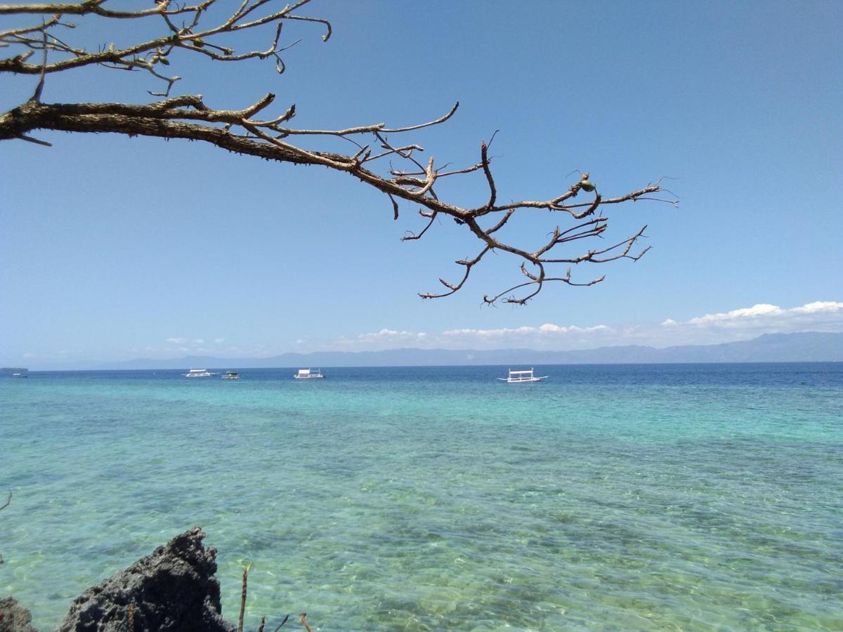 Ancelle Cristo Re Bed & Breakfast Moalboal Bagian luar foto